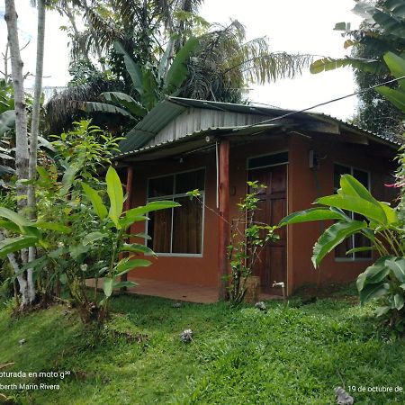 Hotel Mirador Osa Mogos Luaran gambar