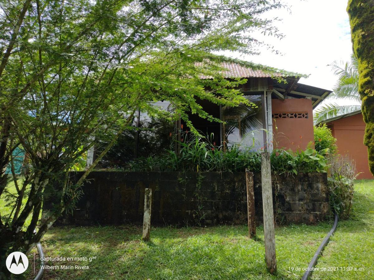 Hotel Mirador Osa Mogos Luaran gambar