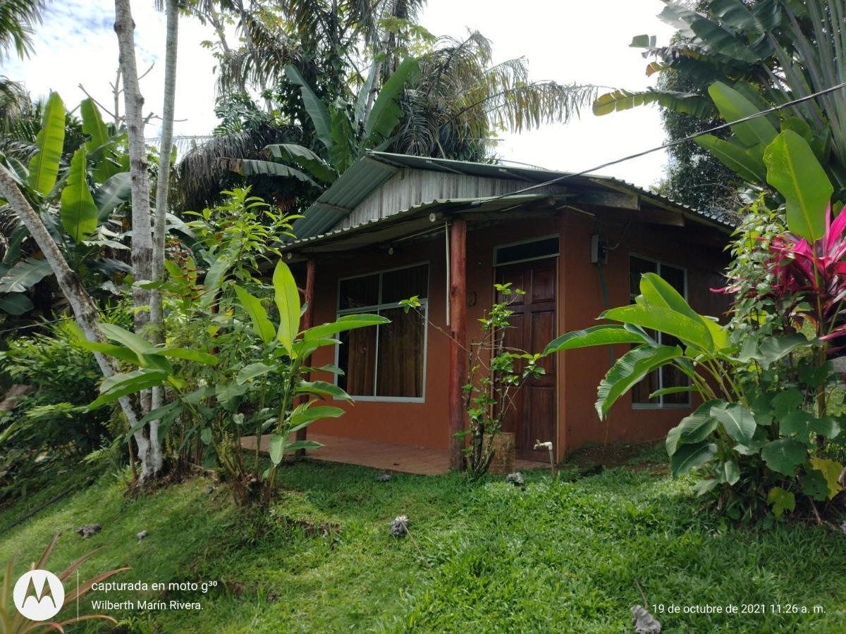 Hotel Mirador Osa Mogos Luaran gambar
