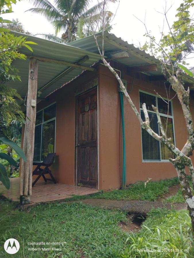 Hotel Mirador Osa Mogos Luaran gambar