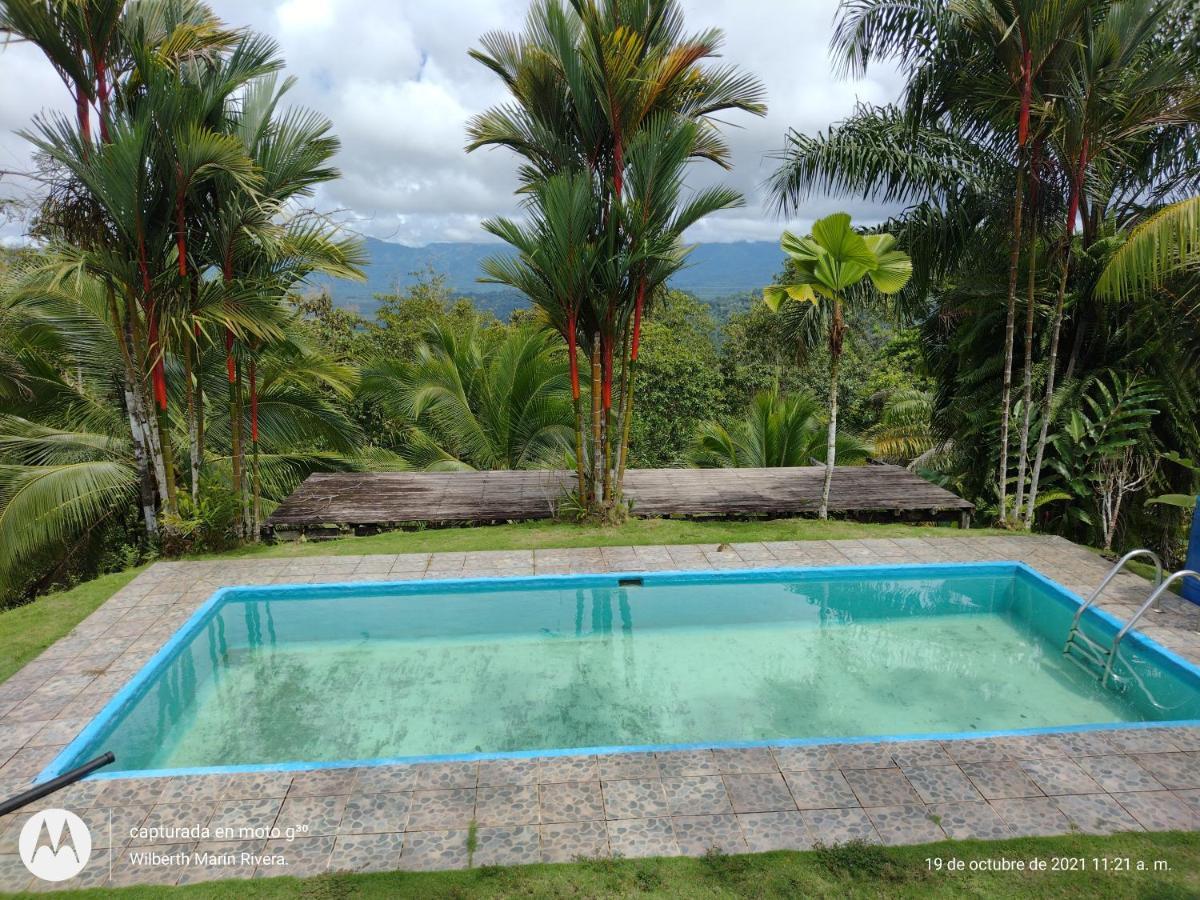 Hotel Mirador Osa Mogos Luaran gambar
