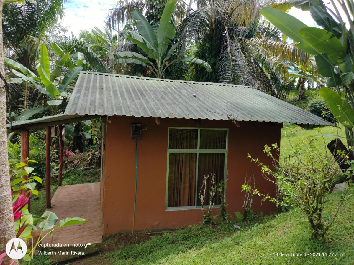 Hotel Mirador Osa Mogos Luaran gambar