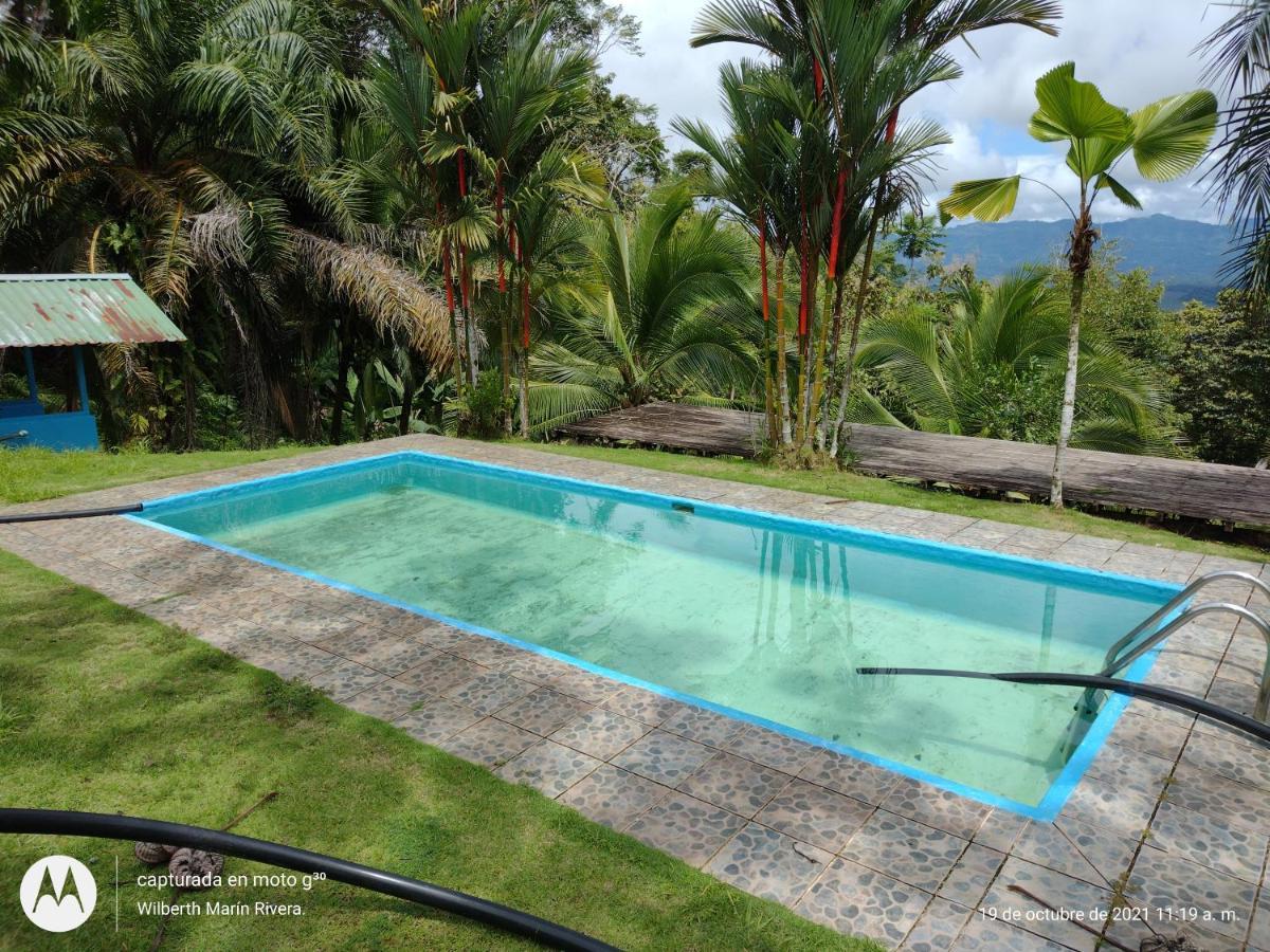 Hotel Mirador Osa Mogos Luaran gambar