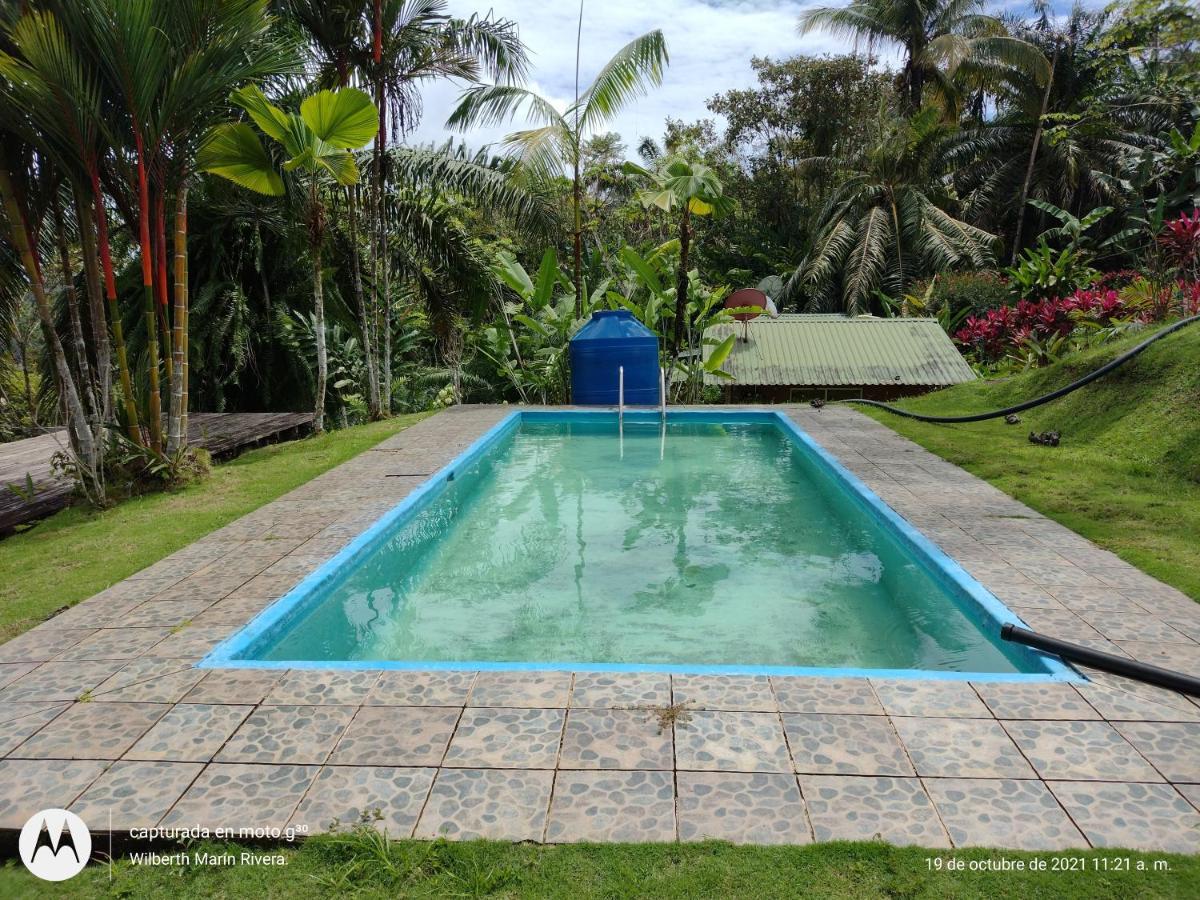 Hotel Mirador Osa Mogos Luaran gambar
